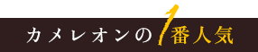 カメレオンの1番人気